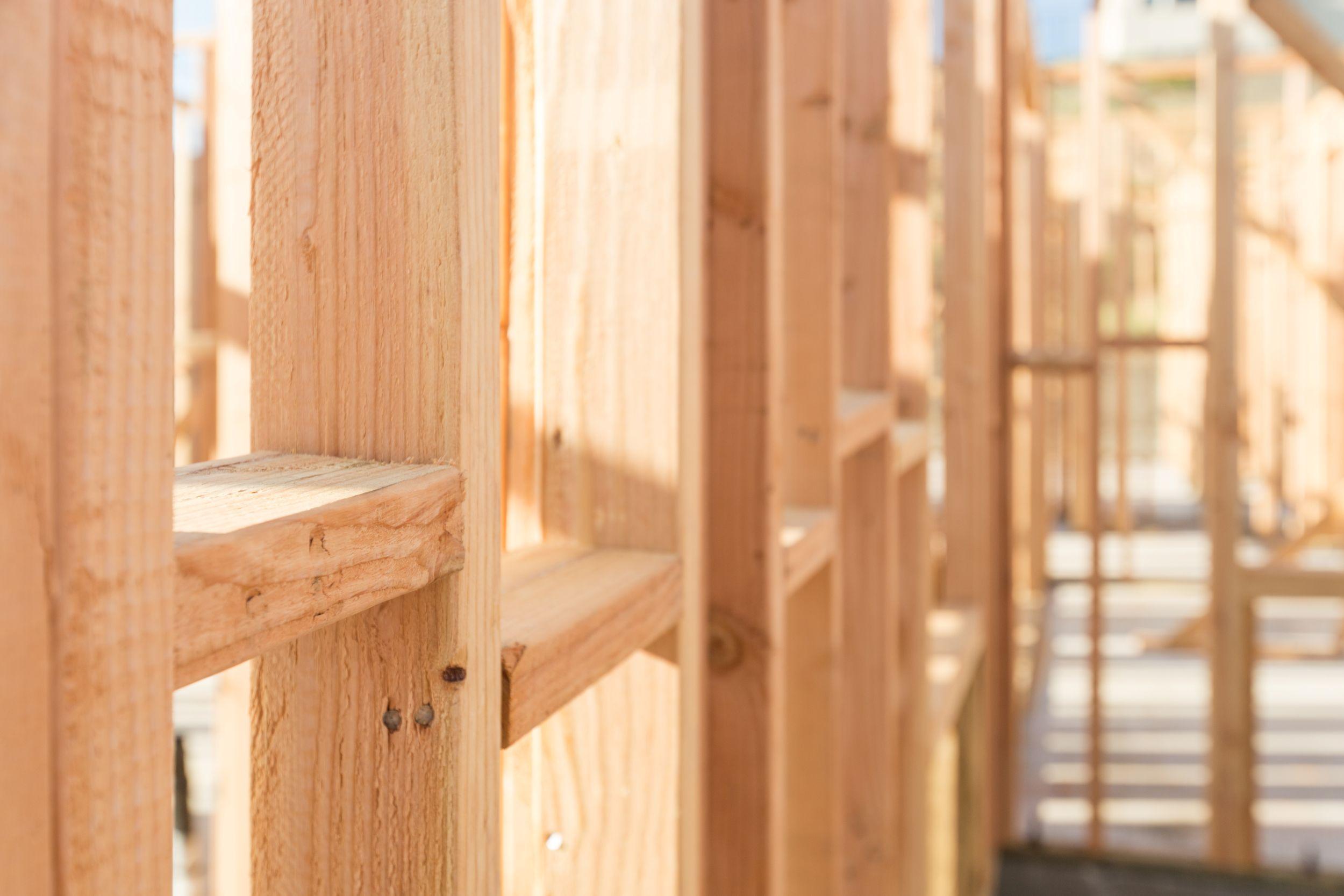 Timber stud partition — close-up of fresh-cut vertical posts in a new-build shell